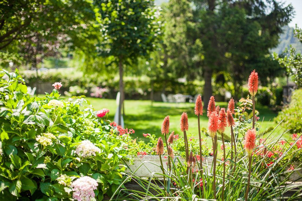 Hotel Catalunya Park Ribes De Freser Eksteriør billede